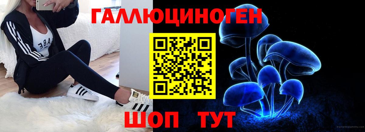 Псилоцибиновые грибы мицелий Бор